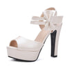 high-heeled women's shoes