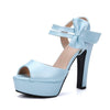 high-heeled women's shoes